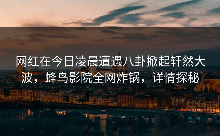 网红在今日凌晨遭遇八卦掀起轩然大波，蜂鸟影院全网炸锅，详情探秘