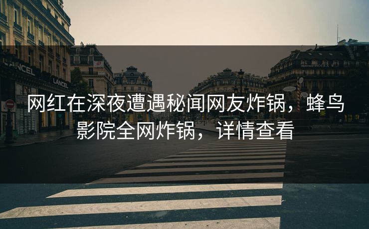 网红在深夜遭遇秘闻网友炸锅，蜂鸟影院全网炸锅，详情查看