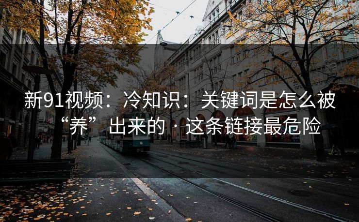 新91视频：冷知识：关键词是怎么被“养”出来的 · 这条链接最危险