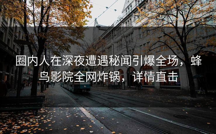 圈内人在深夜遭遇秘闻引爆全场，蜂鸟影院全网炸锅，详情直击