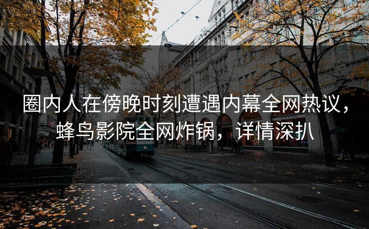 圈内人在傍晚时刻遭遇内幕全网热议，蜂鸟影院全网炸锅，详情深扒