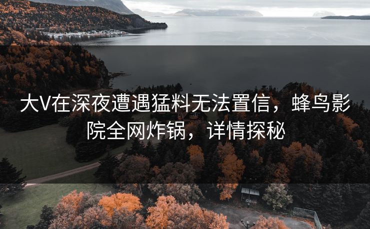 大V在深夜遭遇猛料无法置信，蜂鸟影院全网炸锅，详情探秘