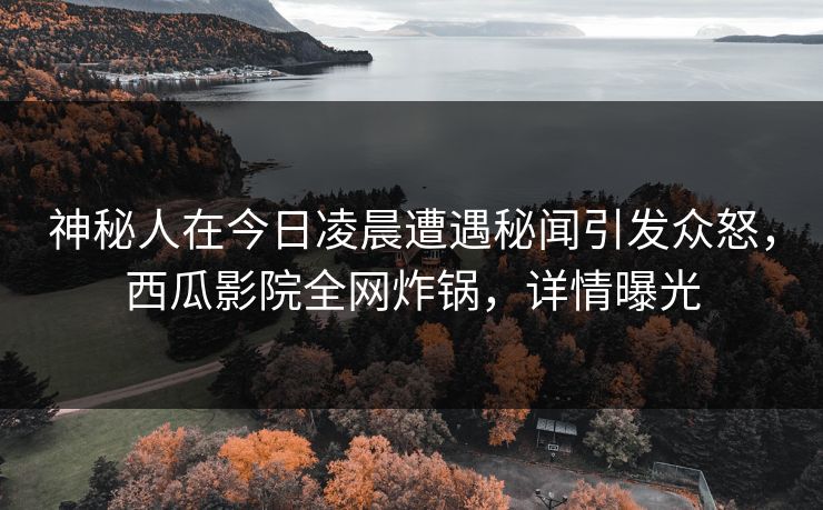 神秘人在今日凌晨遭遇秘闻引发众怒,西瓜影院全网炸锅,详情曝光 神秘人在今日凌晨遭遇秘闻引发众怒,西瓜影院全网炸锅,详情曝光